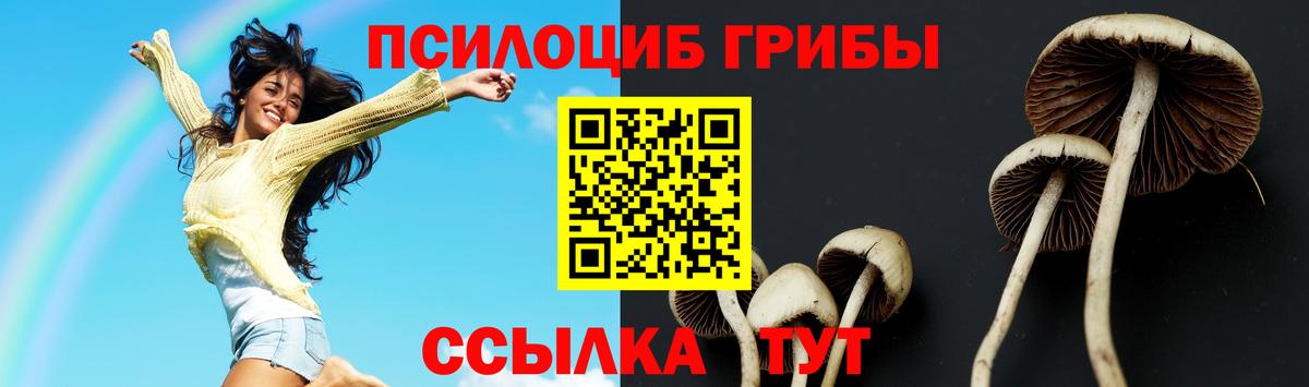 цена наркотик  Вход с VPN  Псилоцибиновые грибы Psilocybine cubensis  Всеволожск  Галлюциногенные грибы мухоморы 
